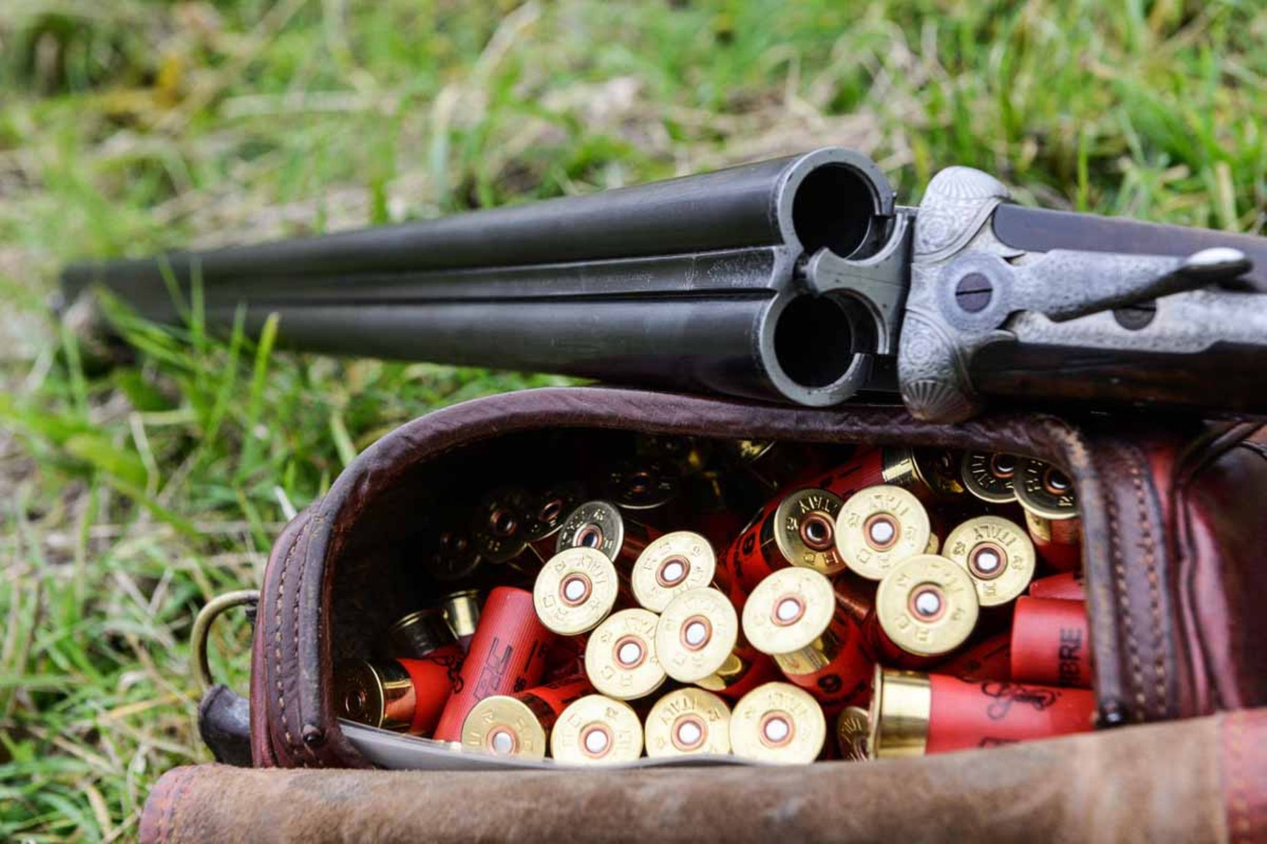 Will the gamebird survive | Altimate Outdoors Blog