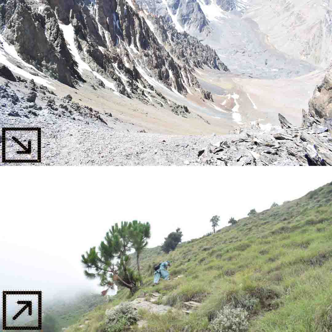 Ascend vs descend in trekking blog - Altimate Outdoors